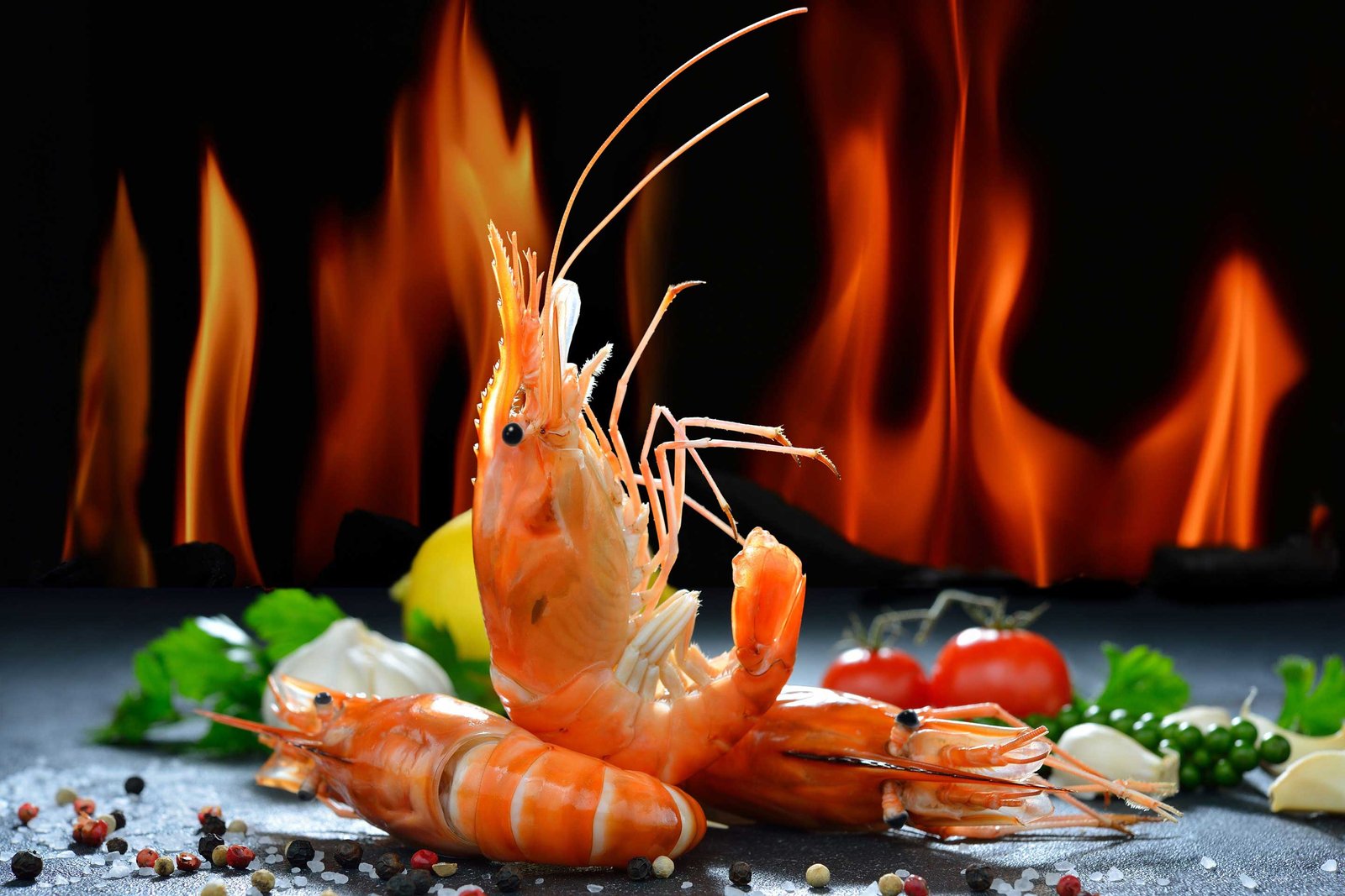 Shrimp Nutrition